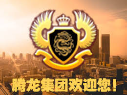 腾龙集团logo